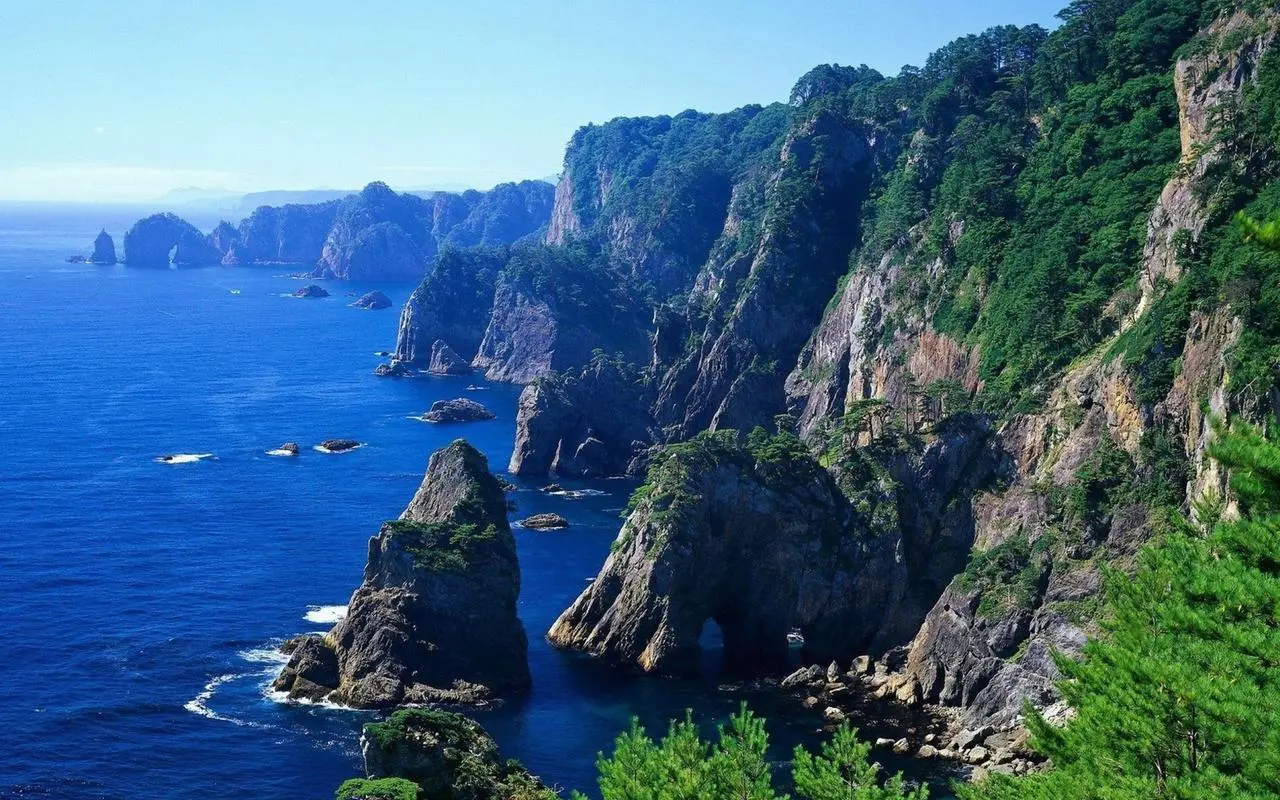 全自动精密